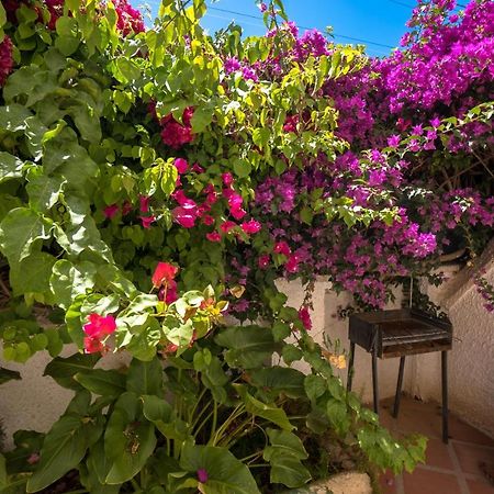 Apartmán Pinos 2 Nerja Exteriér fotografie